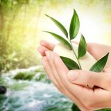 Бесплатное здоровье - Telegram канал