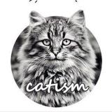 Котизм - Telegram канал