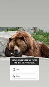 Мир 🌏 зоопарков - Telegram канал