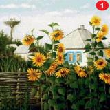 Огород и дача - большая удача! - Telegram канал