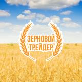 ЗЕРНОВОЙ ТРЕЙДЕР - Telegram канал