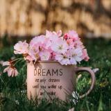 Садовый мир - Telegram канал