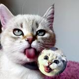 Misalelik - Telegram канал