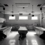 Морг | Медицина - Telegram канал