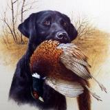 Ножи | Рыбалка | Охота - Telegram канал