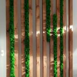 Идеи для сада, дачи, дома, коттеджа и просто для души) - Telegram канал