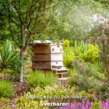 Дачник на связи | Все о огороде - Telegram канал