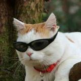 Приколы - Telegram канал