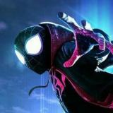 человек паук стикеры - Telegram канал