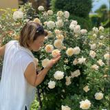 Садовые цветы с Ириной Гущиной - Telegram канал