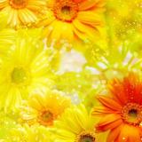 МиссТелеграм | - Telegram канал