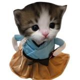 котячьи файлы - Telegram канал