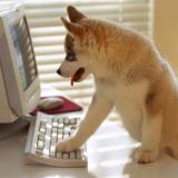 Добрые мемы : ) - Telegram канал