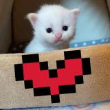 Нежная пикча 💗 - Telegram канал