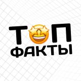 Top факты - Telegram канал