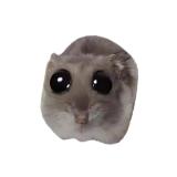 (не)Грустный хомяк - Telegram канал