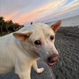 ERUNDA🐒 - Telegram канал