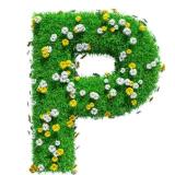 РАЗВЛЕКАЛОВО | Юмор, фотоприколы, смешные видео - Telegram канал