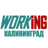 КАЛИНИНГРАД Работа - Telegram канал